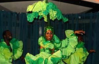 Latinskoamerická taneční skupina TRADICIÓN - Tropicana